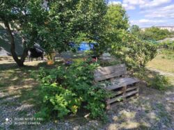 ��������� ������� � ����������! ���� 12