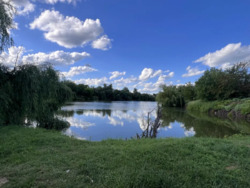 Продається будинок Полтава, Полтавська, Київський, Рибці фото 19 Продається будинок Полтава, Полтавська, Київський, Рибці фото 19