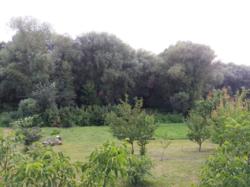 Продається будинок Червонозаводське, Лохвицький, Полтавська фото 7 Продається будинок Червонозаводське, Лохвицький, Полтавська фото 7