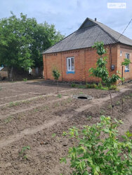 Продається будинок вул. Середня, Полтава, Полтавська, Подільський, Воронина фото 5 Продається будинок вул. Середня, Полтава, Полтавська, Подільський, Воронина фото 5
