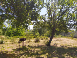 ��������� ������� ��������, �������, ����������, ����������, ���� ���� 10