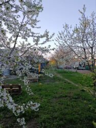 ��������� ������� � ����������! ���� 13