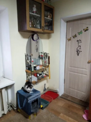 ��������� ������� �������, ����������, �������� ���� 5