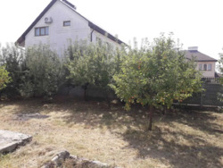 Продається будинок Полтава, Полтавська, Київський, Рибці фото 4 Продається будинок Полтава, Полтавська, Київський, Рибці фото 4