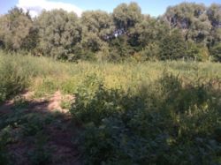 ������ ���.. ������ 2� ������� ��� � �. ������. ���� 4