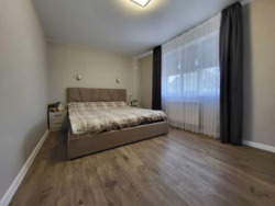 Продам юудинок рибці фото 11 Продам юудинок рибці фото 11