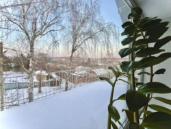 ��������� ������� �������, ����������, ������������� (���������), ����� ���� 12