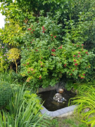 ��������� ������� �������, ����������, ������������� (���������), ���������� ���� 8