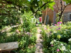 Продаж будинку в центрі фото 5 Продаж будинку в центрі фото 5