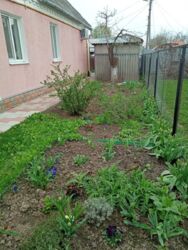 Продається будинок Полтава, Полтавська, Шевченківський (Жовтневий), Огнівка фото 4 Продається будинок Полтава, Полтавська, Шевченківський (Жовтневий), Огнівка фото 4