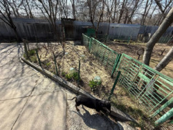 Продається будинок Полтава, Полтавська, Подільський, Червоний шлях фото 10 Продається будинок Полтава, Полтавська, Подільський, Червоний шлях фото 10