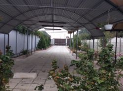 ������� �������� �������� ! ���� 8