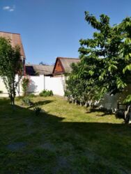 ��������� ������� �������, ����������, ����������, ˳���/����-2 ���� 10