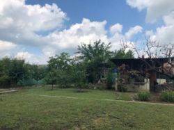 ������ ���� � ������� ����������� ����� � �. ����������, ������!. ���� 4