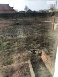 Продаж окремого будинку Розсошенці фото 6 Продаж окремого будинку Розсошенці фото 6