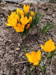 ��������� ������� � ����������! ���� 16