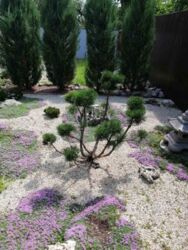 Продається будинок Полтава, Полтавська, Подільський, Воронина фото 9 Продається будинок Полтава, Полтавська, Подільський, Воронина фото 9