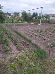 Продається будинок вул. М. Пушкаря, Полтава, Полтавська, Подільський, Вакуленці фото 20 Продається будинок вул. М. Пушкаря, Полтава, Полтавська, Подільський, Вакуленці фото 20