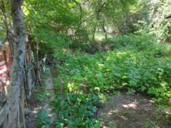 Продаж будинку в центрі фото 8 Продаж будинку в центрі фото 8