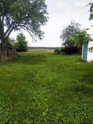   ,   13