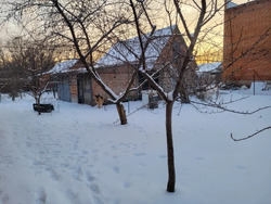 Продається будинок Полтава, Полтавська, Подільський, Червоний шлях фото 8 Продається будинок Полтава, Полтавська, Подільський, Червоний шлях фото 8