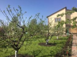 Продається будинок в Копилах. фото 3 Продається будинок в Копилах. фото 3