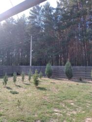 Продається будинок Полтава, Полтавська фото 19 Продається будинок Полтава, Полтавська фото 19