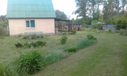 ������ ���� � ����������� ������ ���� 3