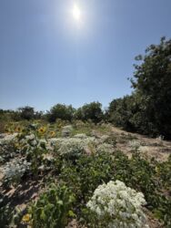 ������ �������, 32����� ����, 5�� ���� �� ����������� ���� 4