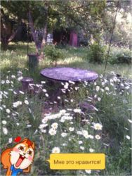 Продам хорошую дачу в Кротенках № 22232728 фото 2 Продам хорошую дачу в Кротенках № 22232728 фото 2