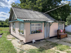 ��������� ������� �������, ����������, ��������, ����� ���� 1