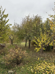 ��������� ������� �������, ����������, ������������� (���������), 1-���.˳����� ���� 14