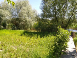 ��������� ������� ��������, �������, ����������, ����������, ���� ���� 11