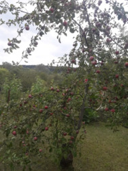 ������ ������� �� �������� ���� 4