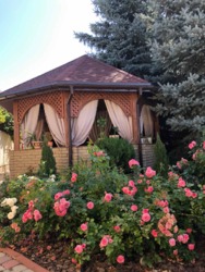 Продаю 2 этажный дом с камином и участком на 25 соток, 426 кв. м, 1 комната, Полтава № 22203286 фото 5 Продаю 2 этажный дом с камином и участком на 25 соток, 426 кв. м, 1 комната, Полтава № 22203286 фото 5