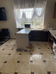 ������ ������� �.���� ���� 18