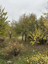   , ,  (), ,  ., 9  13