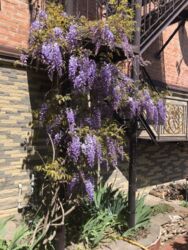 Продаж гарного сучасного будинку в центрі міста фото 4 Продаж гарного сучасного будинку в центрі міста фото 4