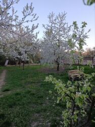 ��������� ������� � ����������! ���� 14