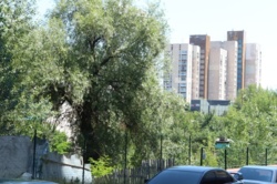 ��������� ������ ����, ����������� ���� 5