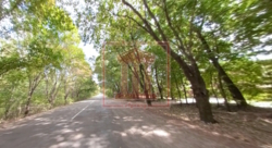 Продається об'єкт Київська, Бориспільський, Петропавлівське, Шосе Т-10-16 фото 3 Продається об'єкт Київська, Бориспільський, Петропавлівське, Шосе Т-10-16 фото 3