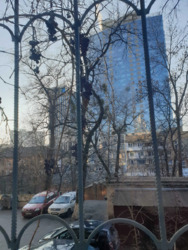 ��������� ��'��� ���, ����������, �. ��������� ���� 1