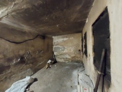 Продається об'єкт Вінницька, Немирівський, Никифоровці фото 12 Продається об'єкт Вінницька, Немирівський, Никифоровці фото 12