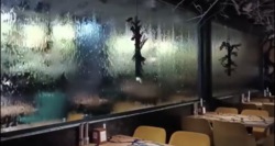 ������ ������ ������ ���� 3