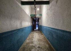 ������ ������������ ��������� ���� 43