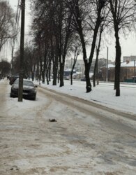 ������ ������������ ��������� ���� 3