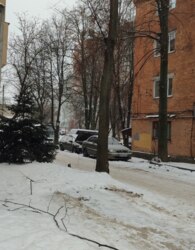 ������ ������������ ��������� ���� 4