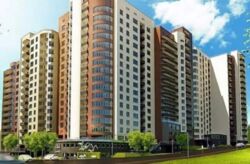 ��������� ��'��� ��쳿�����, 13, ���, �����������, �. ��쳿����� ���� 1