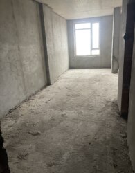    .  ,  52.8 .  5