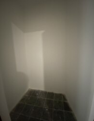     .  ,  81 .  2